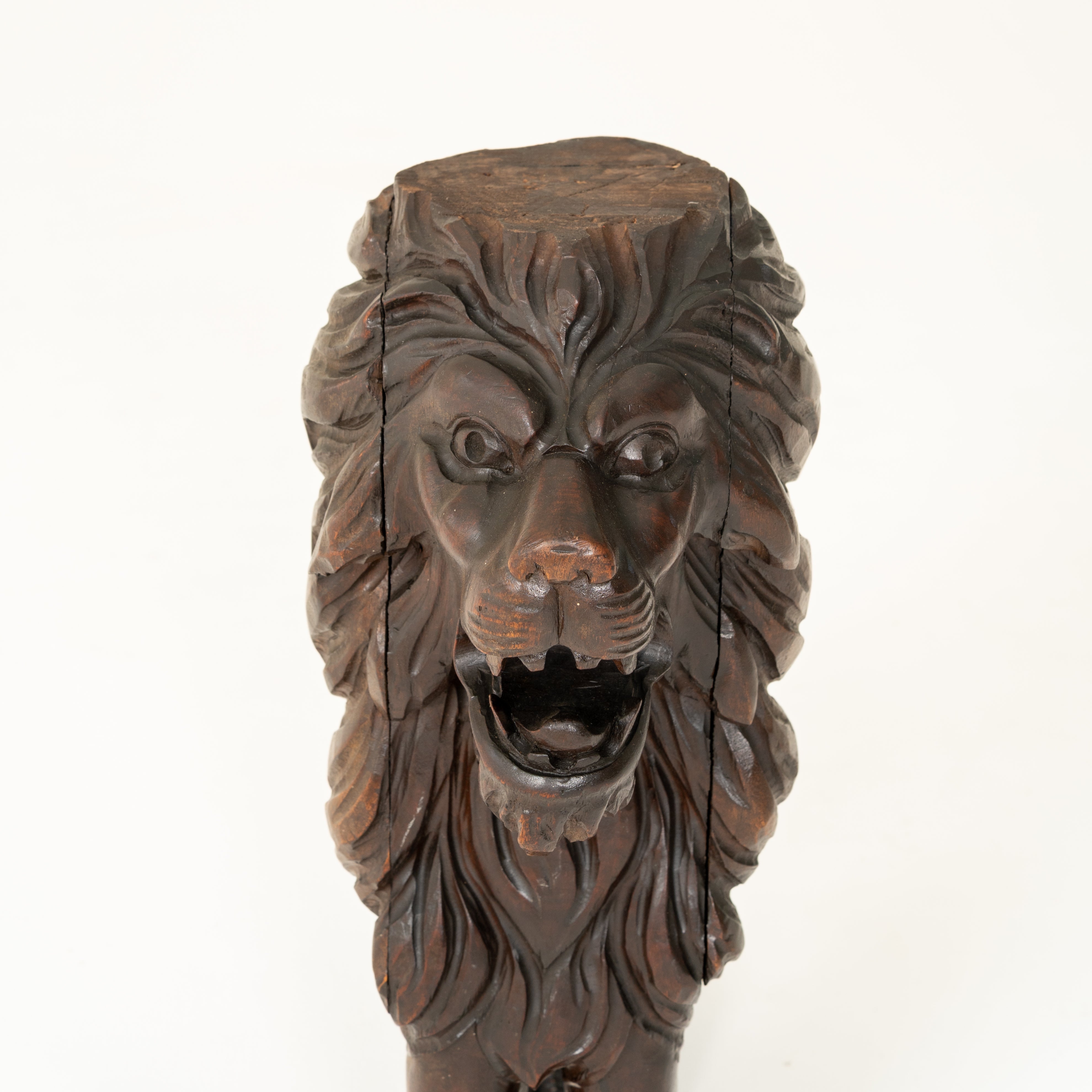 SCULTURA LEONE XIX SEC.